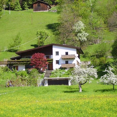 Sonnenhaus Sander 쉬룬즈 외부 사진